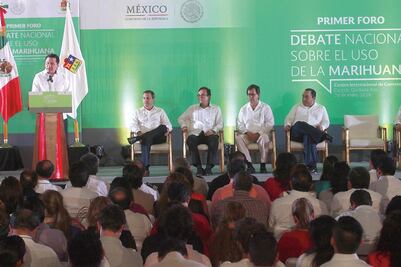 Gobierno, abierto a uso médico de marihuana: Chong