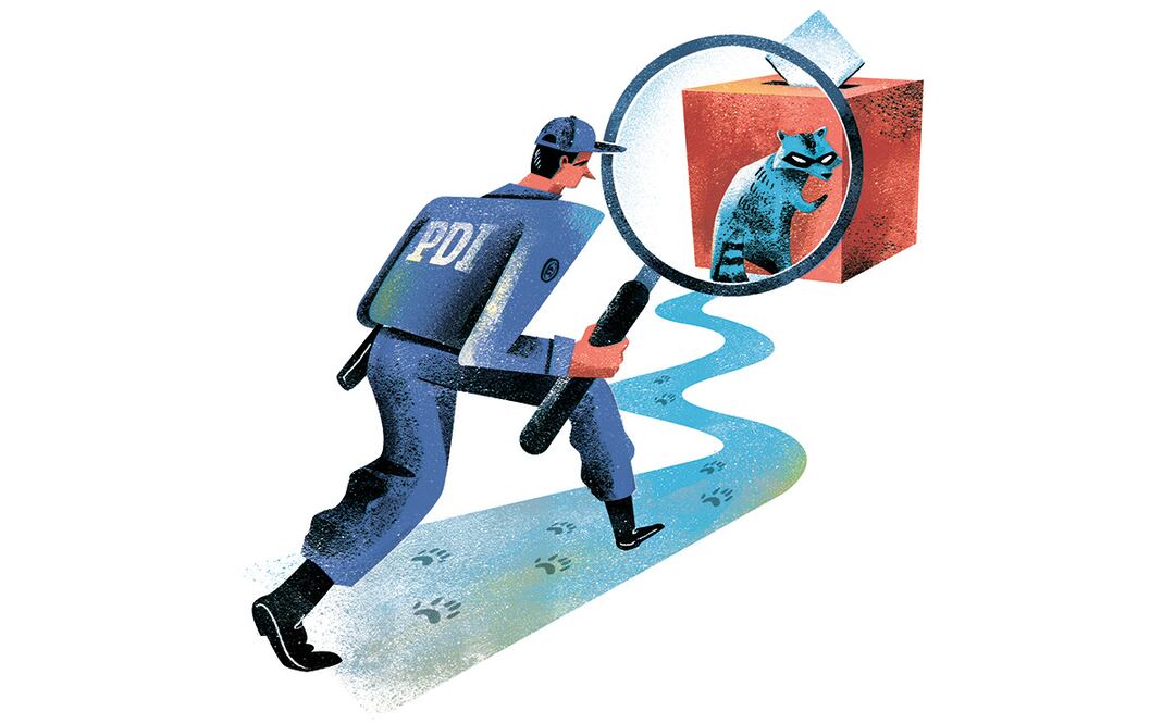 Ilustración: Ani Cortés