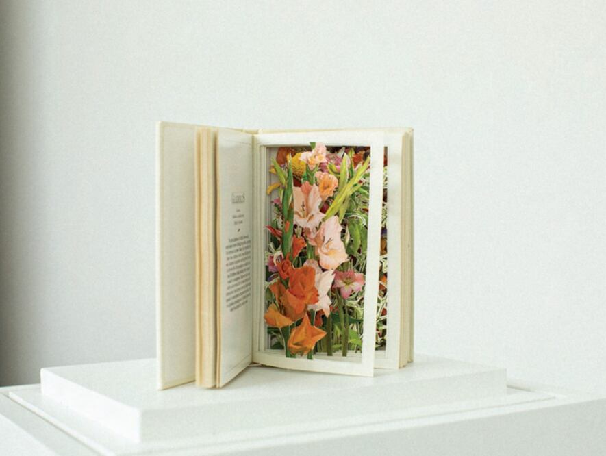 Foto: LABOR, cortesía