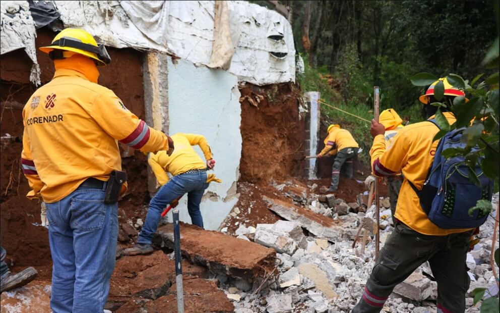 Personal de la Sedema realizó un operativo en la zona boscosa de Los Dinamos, donde se intervinieron 10 hectáreas, cuatro de ellas ocupadas ilegalmente. Foto: especial