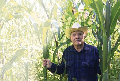 "No es chamba, es mi destino: ser trovador de huapango arribeño": Guillermo Velázquez