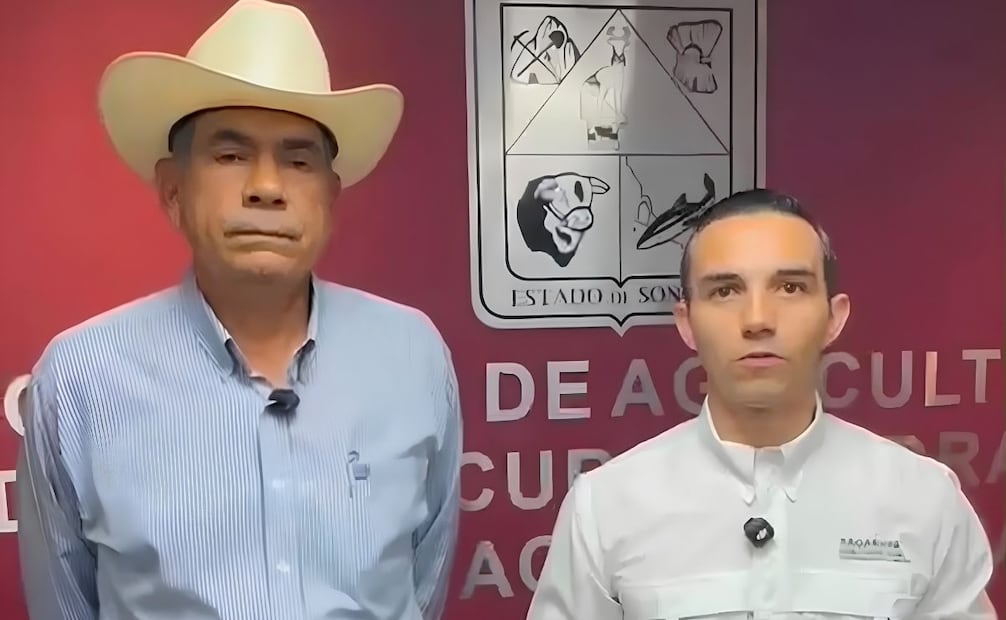Detectan primer caso de gusano barrenador en Sonora; activan cerco sanitario en Álamos. | Foto: Especial.