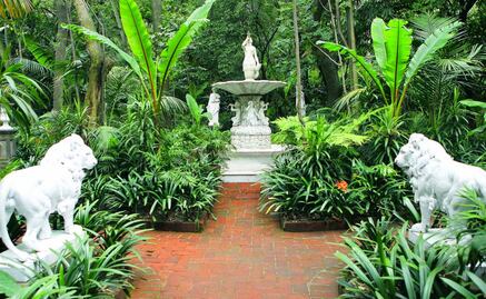 Barrios mágicos que debes visitar en la CDMX (Parte 1)