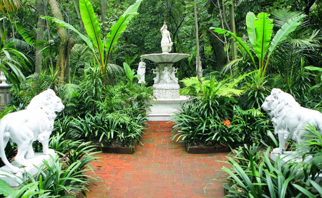El Parque Lira en Tacubaya, es uno de los más impresionantes de la ciudad. (Foto: Archivo El Universal)