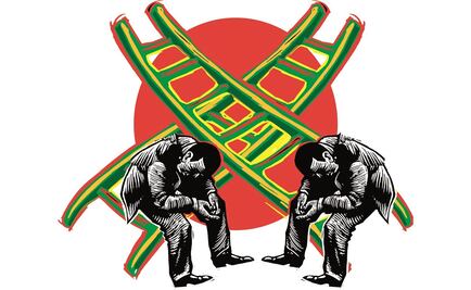 Los otros amigos del Dragón