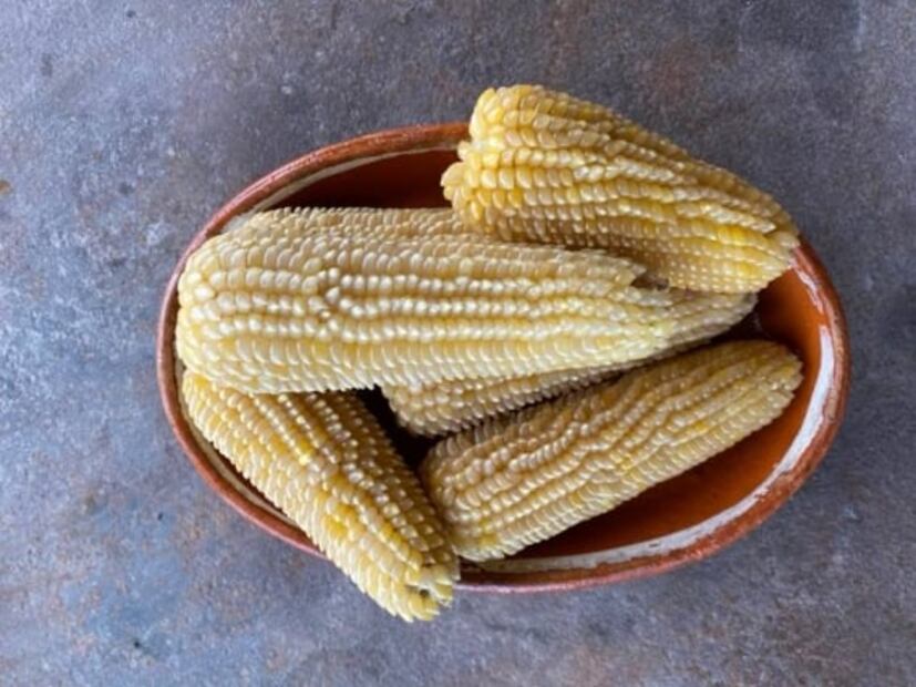 El llamado del maíz que enamoró a dos tapatías