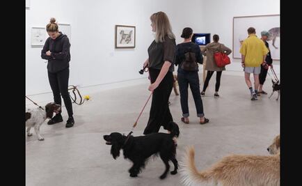 Londres abre una exposición de arte apta para perros