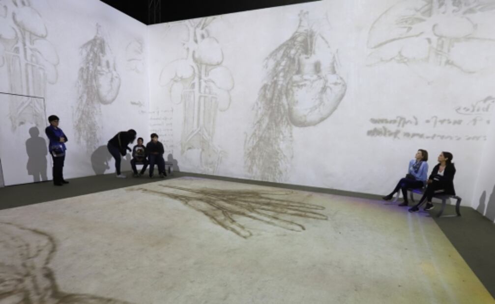 La muestra de Da Vinci: queja y gozo