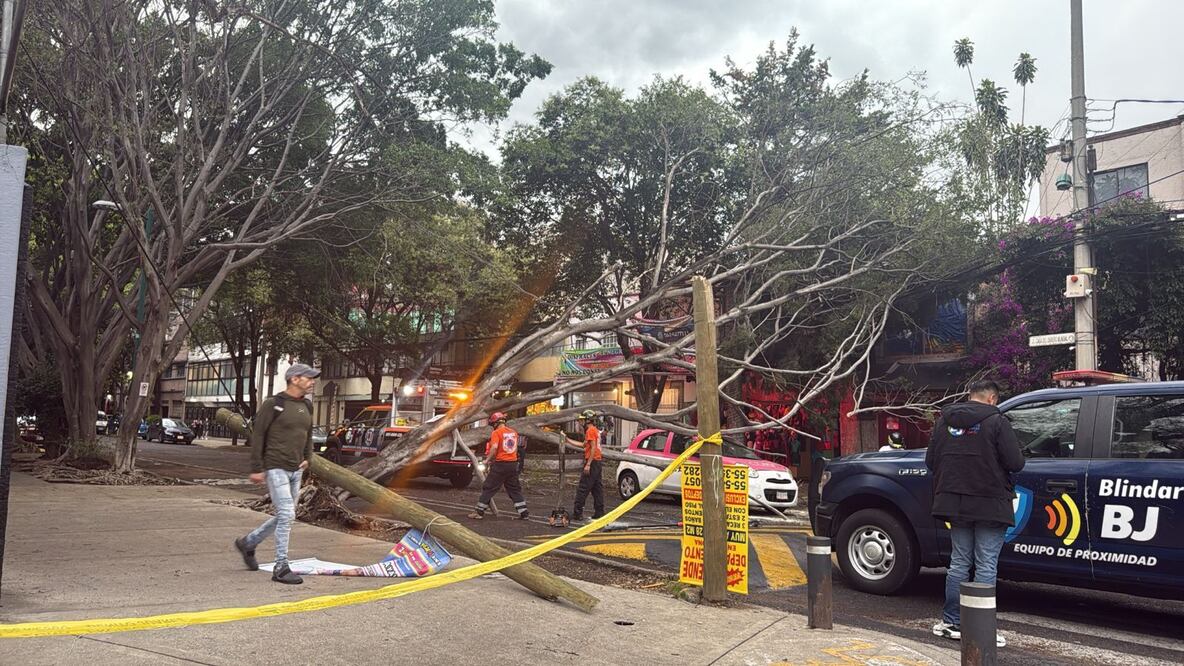 Las fuertes lluvias y vientos que azotan este viernes 13 de junio a la CDMX, han dejado varios árboles caídos. (Foto: especial)