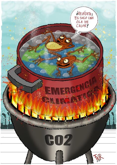 Cartón de FER