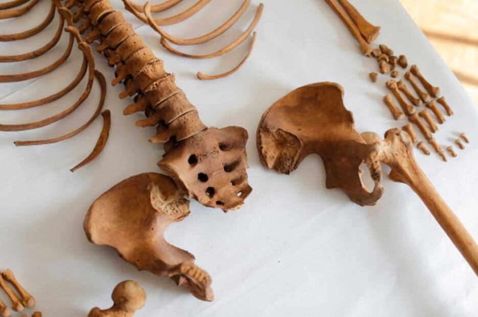 A sólo 40 centímetros del pavimento, descubren restos de una mujer tejedora de hace 600 años