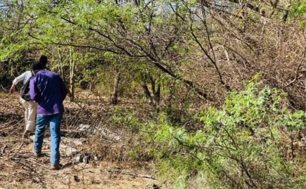 Búsqueda de familia desaparecida en Petatlán, Guerrero (03/02/2026). Foto: Especial
