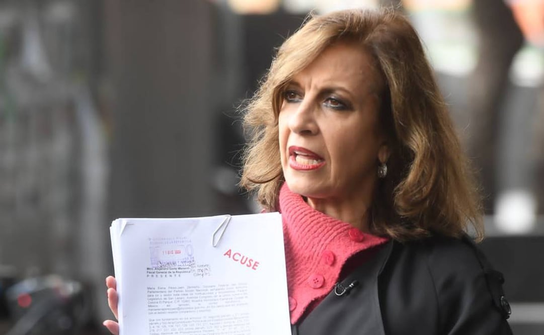 Diputada del PAN, María Elena Pérez-Jaén Zermeño, presenta denuncia por presuntos actos de corrupción que involucran a Andy López Beltrán / Foto: Especial