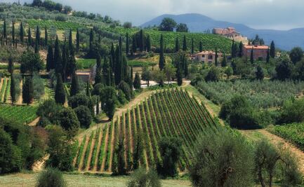 Montalcino, dónde comer y dormir cuando se visita este municipio italiano
