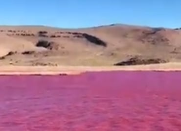 VIDEO: ¿Por qué el Río Nilo se tiñó de rojo en Egipto?