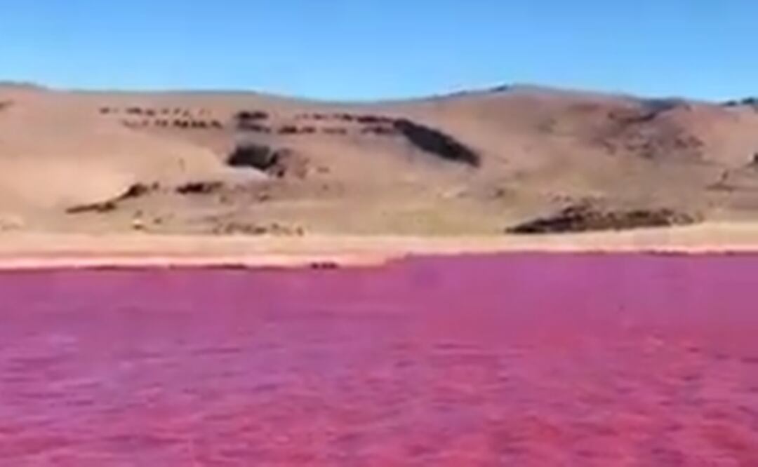 Varios videos que circulan en redes sociales mostraron al río Nilo pintado de rojo. Foto: Tomada del video