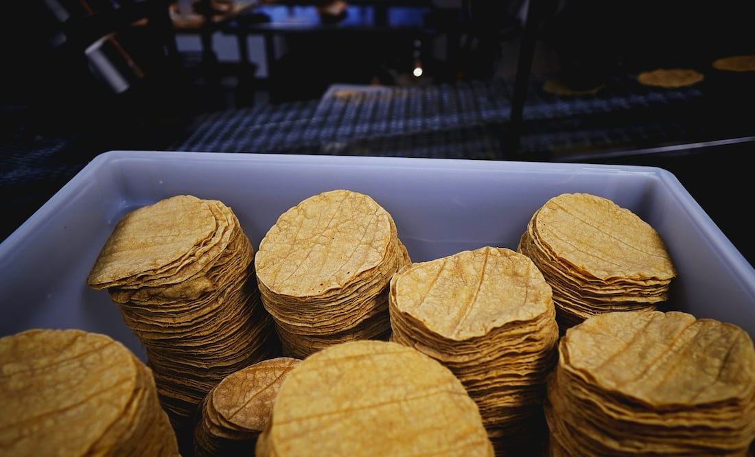 Sheinbaum anuncia acuerdo voluntario para que no suba el precio de la tortilla. Foto: Unsplash