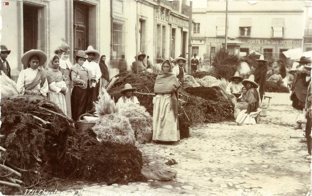 El árbol pagano que conquistó la Navidad