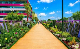 Especialistas advierten que Jardín Flotante podría terminar en abandono; "México está en pañales en materia de riego para paisajismo", aseguran