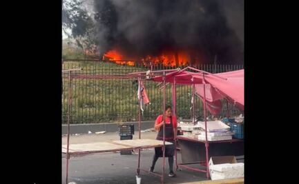 Controlan incendio en Parque Cuitláhuac de alcaldía Iztapalapa