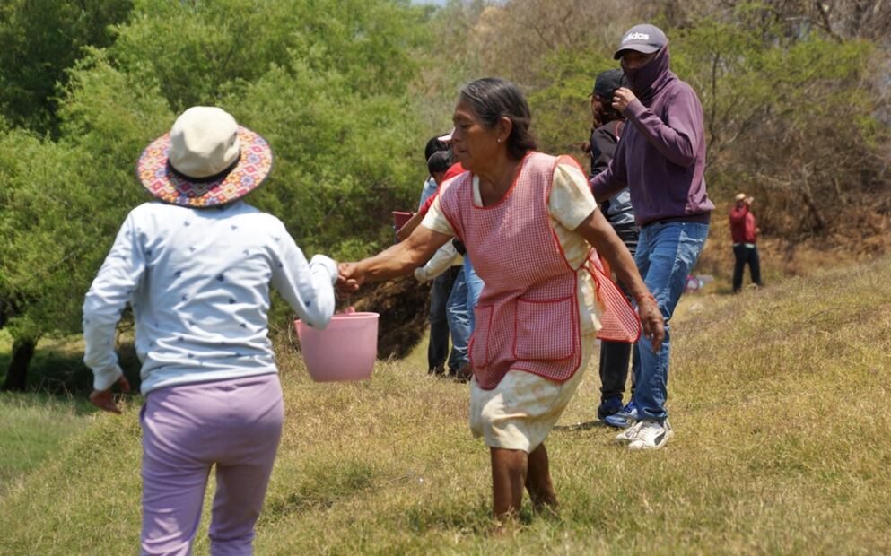 Pobladores intentan apagar un incendio forestal con cubetas de agua en Santo Domingo Tomaltepec, Oaxaca, el sábado 12 de abril de 2025. Foto: Edwin Hernández/EL UNIVERSAL