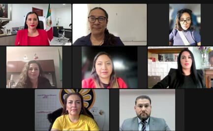 Cuevas se desconecta de sesión virtual en Congreso; diputados de Morena le pedían que los llamara por su nombre