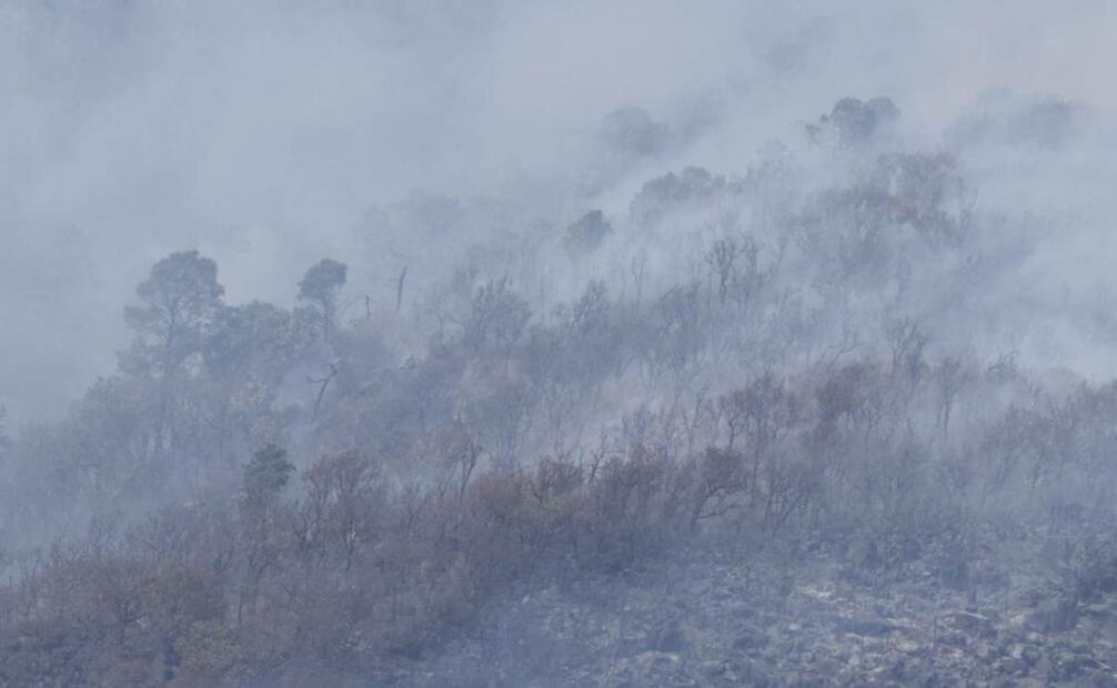 El fuego que se extendió con rapidez, que debió originarse por algún descuido. Foto: Jorge Alvarado. EL UNIVERSAL