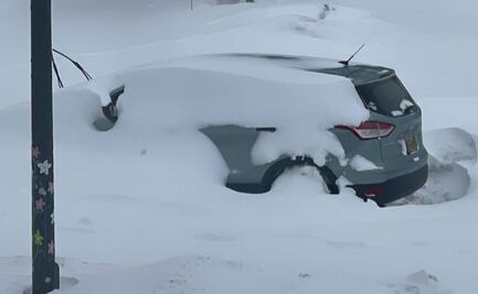 Joven mandó un último video a su familia antes de morir atrapada por la nieve en EU