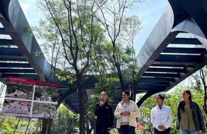 Bosque de Chapultepec nunca se va a privatizar: Sheinbaum