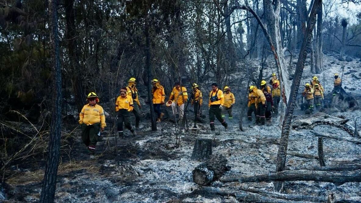 La Secretaría del Medio Ambiente de la Ciudad de México pide extremar precauciones para evitar incendios forestales. (Foto: especial)