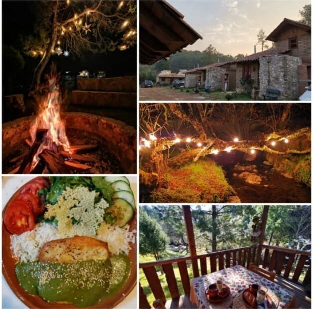 Conoce estas cabañas ecológicas inspiradas en mujeres, en un bosque de Puebla