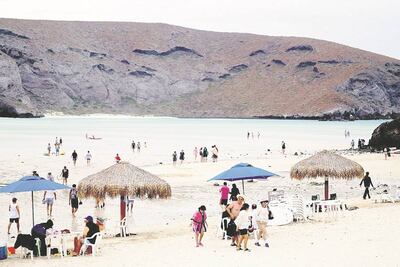 2020 será un buen año para el turismo: Asetur