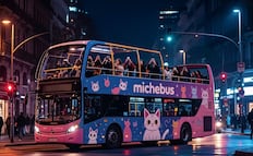 Recorrido a bordo del MicheBus en CDMX, con música y micheladas