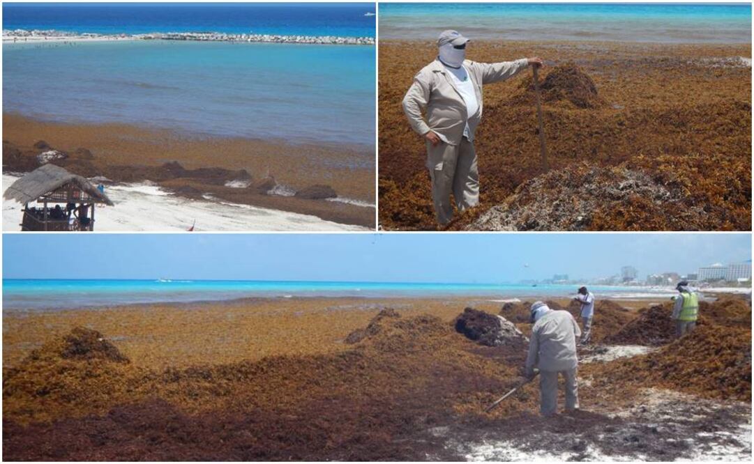 Foto: Adriana Varillas / EL UNIVERSAL