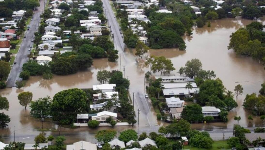 Inundaciones en Australia traen cocodrilos a las calles
