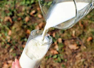 Lo bueno, lo malo y lo rico de la leche