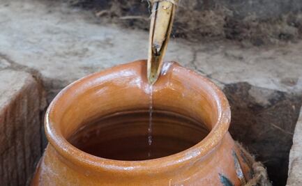 Descubre el mezcal que se elabora en Zapotitlán, Jalisco