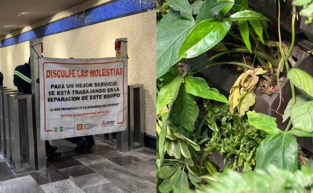 La escalera eléctrica que se encuentra en dirección Cuatro Caminos no funciona y algunas plantas de los muros verdes ya lucen marchitas. Fotos: Especiales
