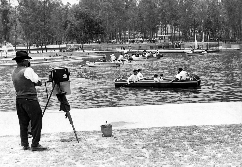 Llevan 50 años de fotografiar a los mismos caballos