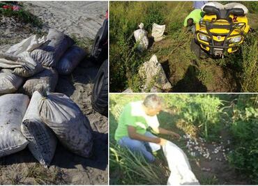 Profepa recupera 15 mil huevos de tortuga en Oaxaca