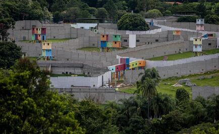 Conoce el mayor santuario de chimpancés de América Latina
