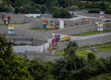 Conoce el mayor santuario de chimpancés de América Latina