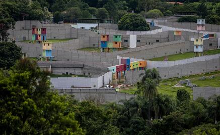 Conoce el mayor santuario de chimpancés de América Latina