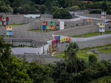 Conoce el mayor santuario de chimpancés de América Latina