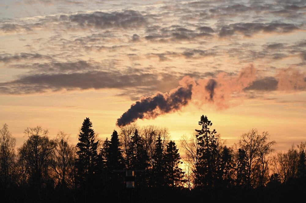 Por la diversidad de ecosistemas, los bosques que pertenecen al territorio mexicano se desenvuelven en distintos climas como templado, nublado, calido y seco. 