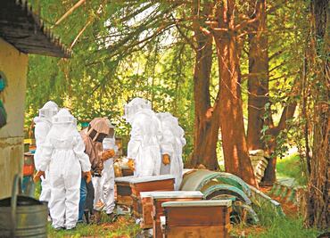 Apoyan a artesanos con página de internet