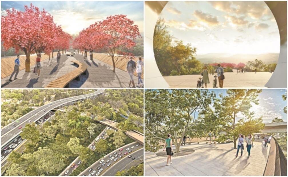 ¿Por qué salió Romano de Chapultepec?