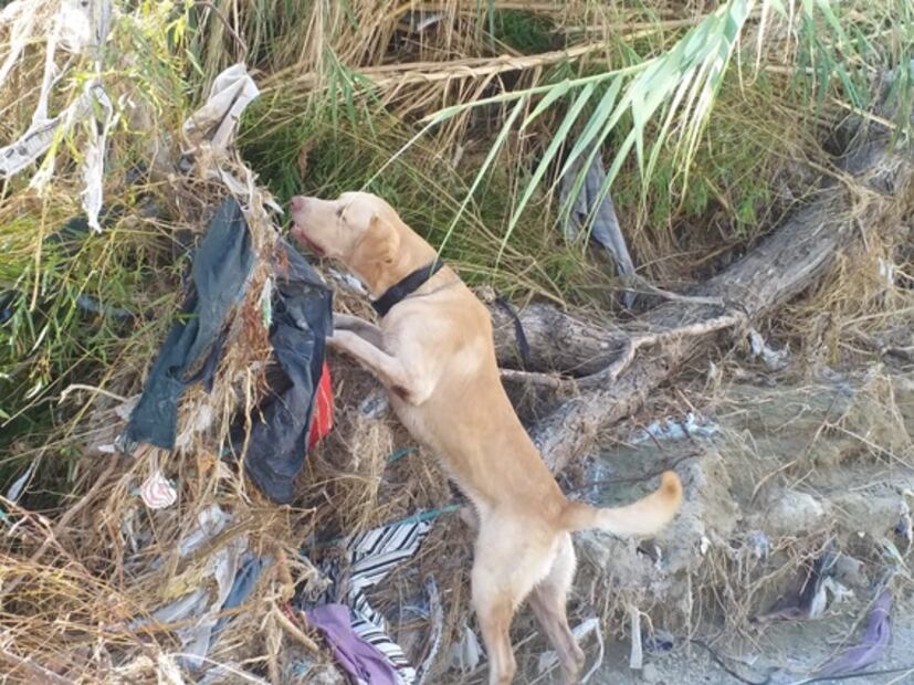 Tras embates de huracán Hanna, sigue desaparecido un menor y un adulto en NL