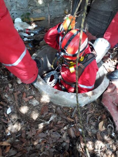 Bomberos de Oaxaca rescatan a perro que cayó a un pozo