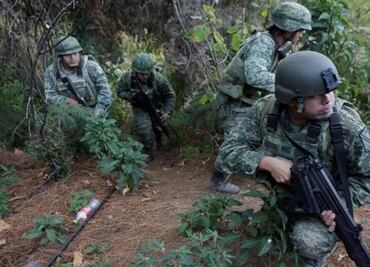 Mexican army fights violence for control of poppy